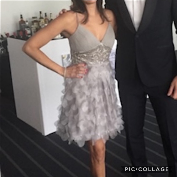 Sue Wong Dresses & Skirts - Sue Wong silk chiffon beaded dress silver gray 4